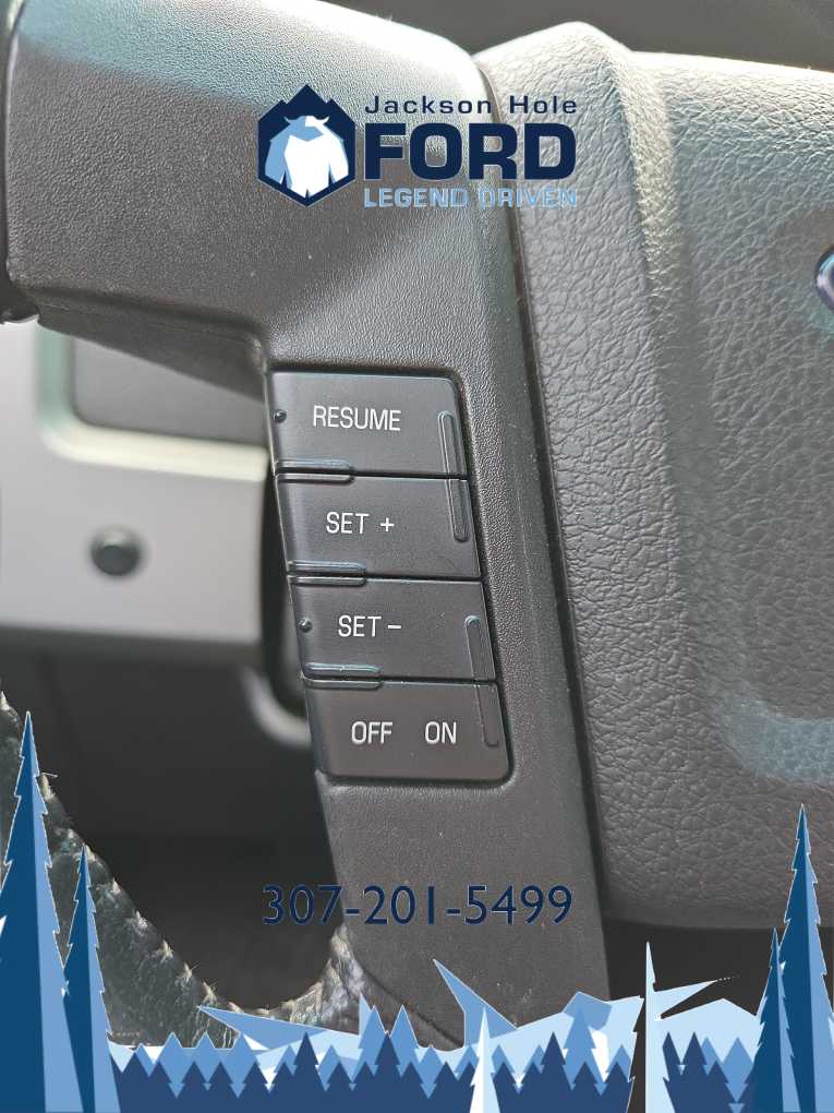 2010 Ford F-150 Lariat 4WD SuperCrew 145 17