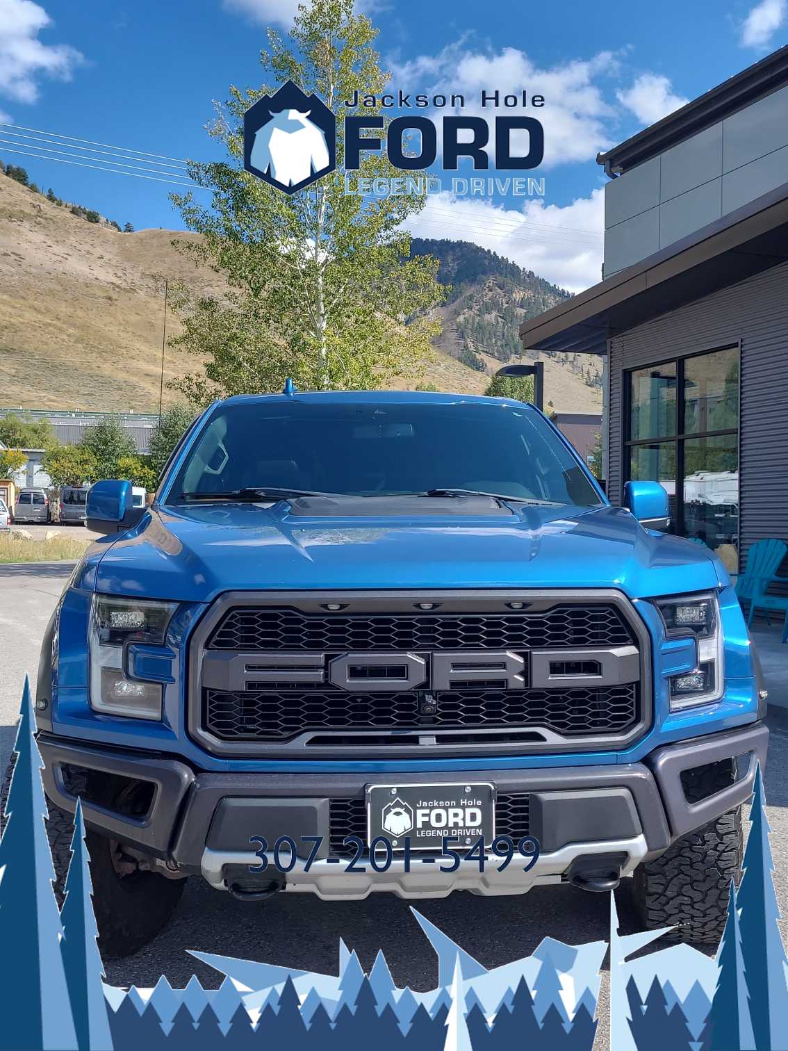 2019 Ford F-150 Raptor 4WD SuperCrew 5.5 Box 2