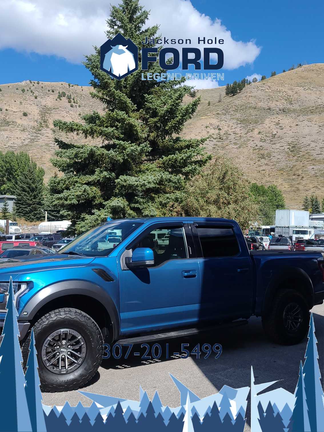 2019 Ford F-150 Raptor 4WD SuperCrew 5.5 Box 3