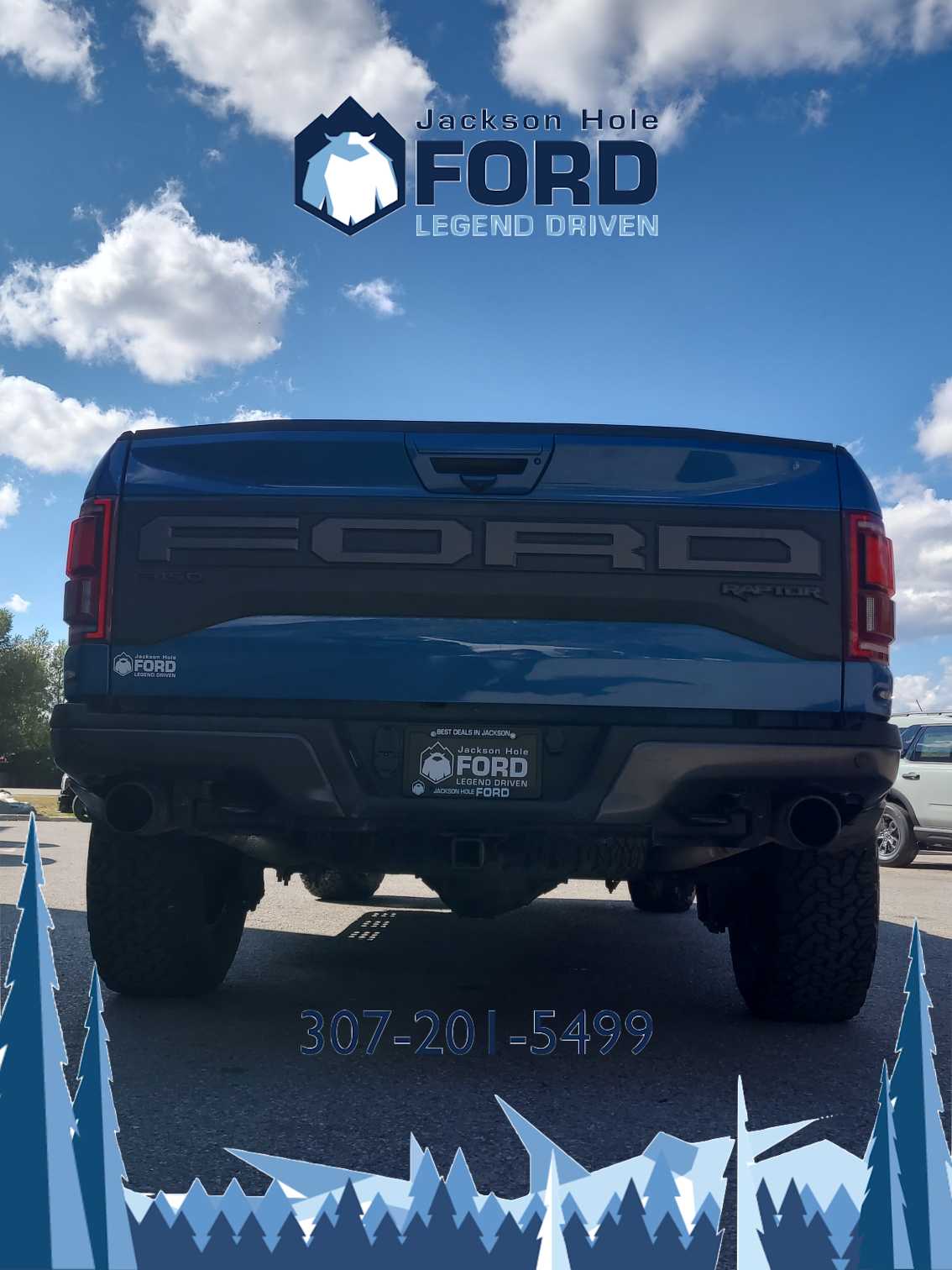 2019 Ford F-150 Raptor 4WD SuperCrew 5.5 Box 6