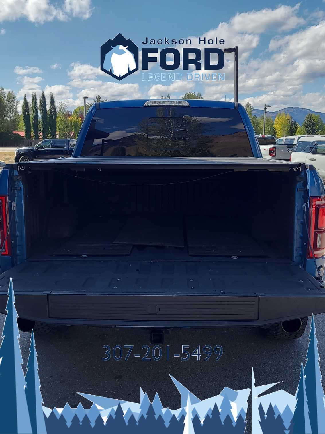 2019 Ford F-150 Raptor 4WD SuperCrew 5.5 Box 7