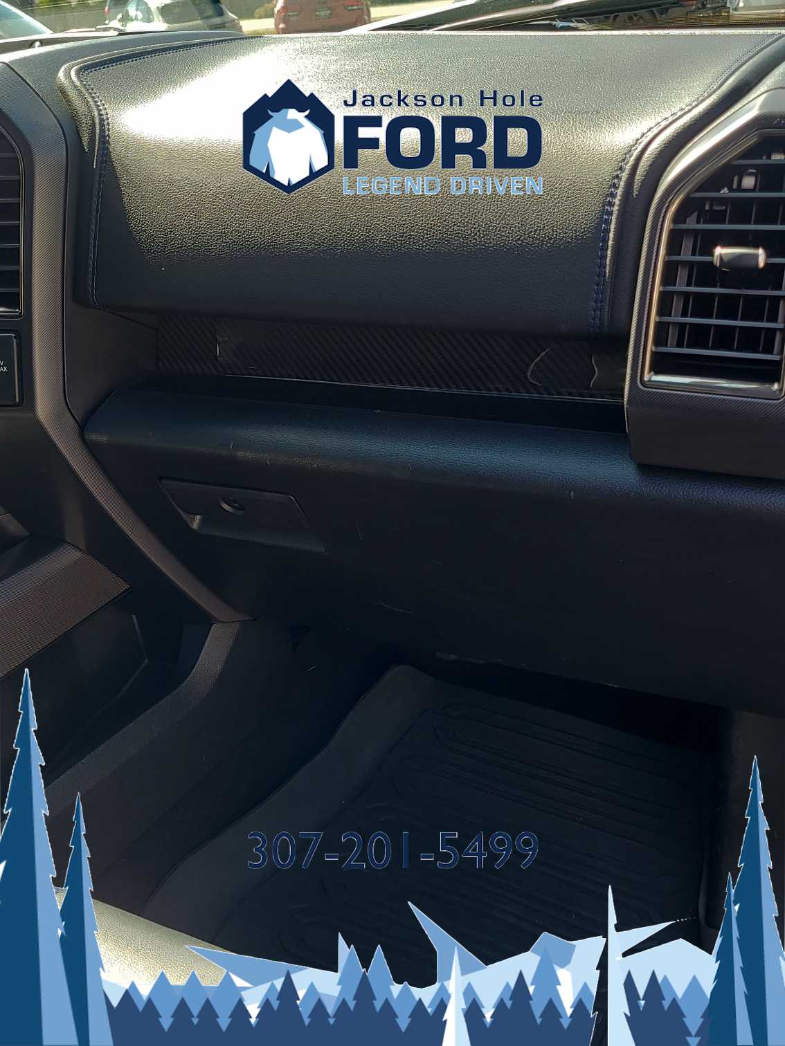 2019 Ford F-150 Raptor 4WD SuperCrew 5.5 Box 14