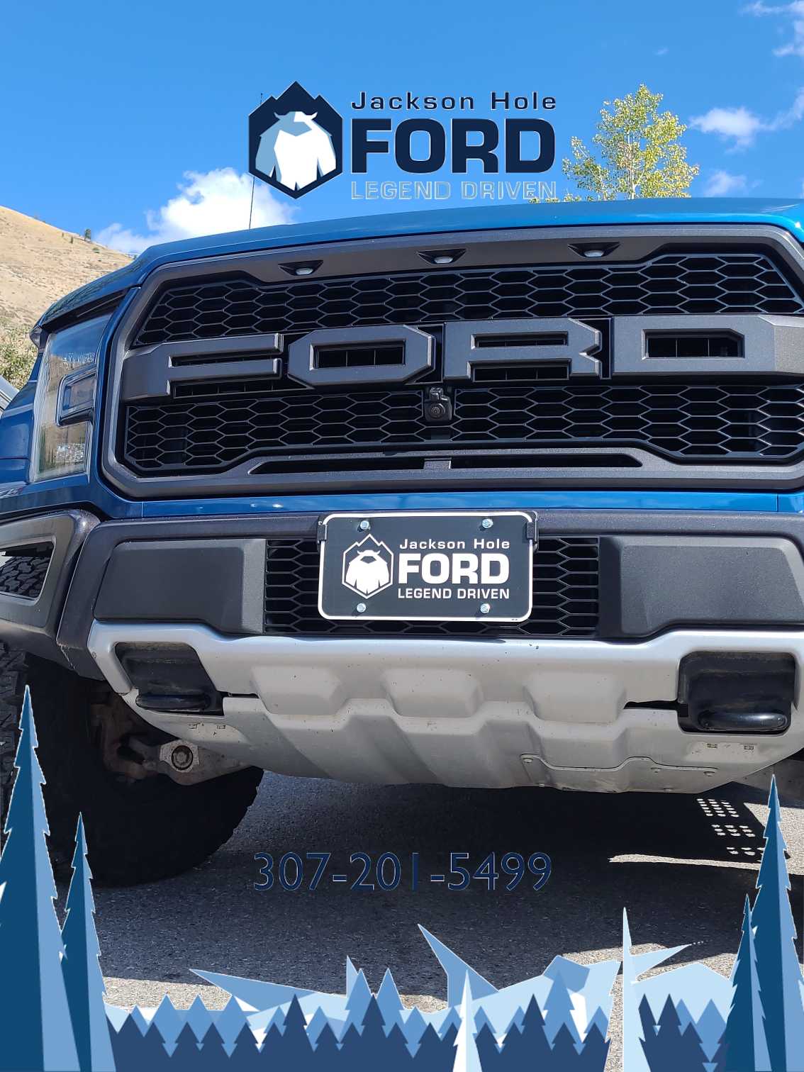 2019 Ford F-150 Raptor 4WD SuperCrew 5.5 Box 27