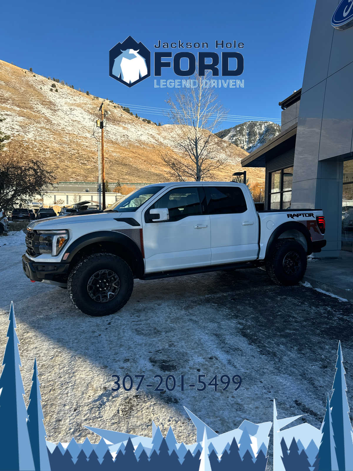 2024 Ford F-150 Raptor 4WD SuperCrew 5.5 Box 2