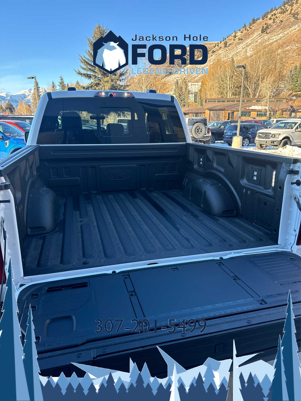 2024 Ford F-150 Raptor 4WD SuperCrew 5.5 Box 5