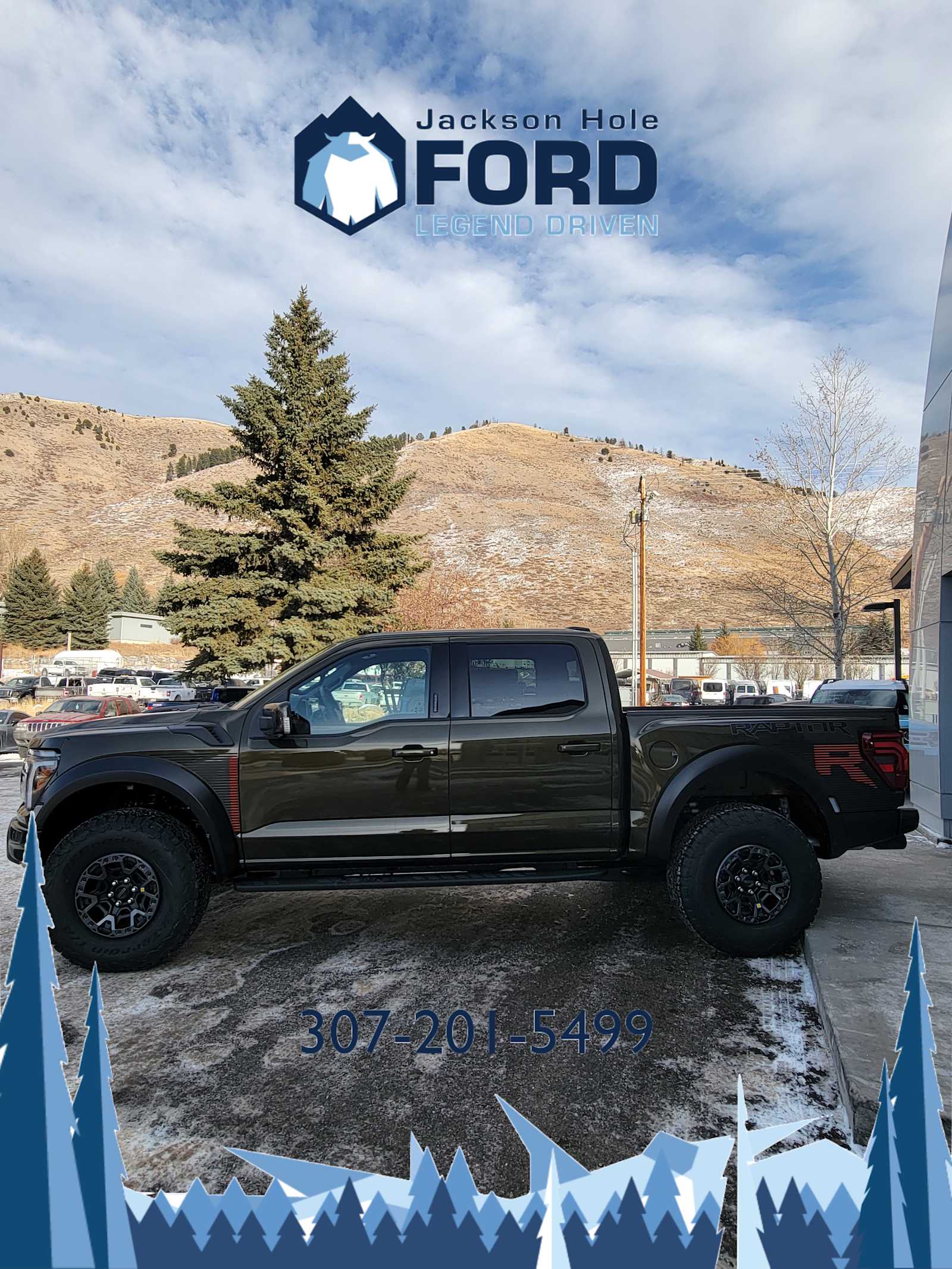 2024 Ford F-150 Raptor 4WD SuperCrew 5.5 Box 15