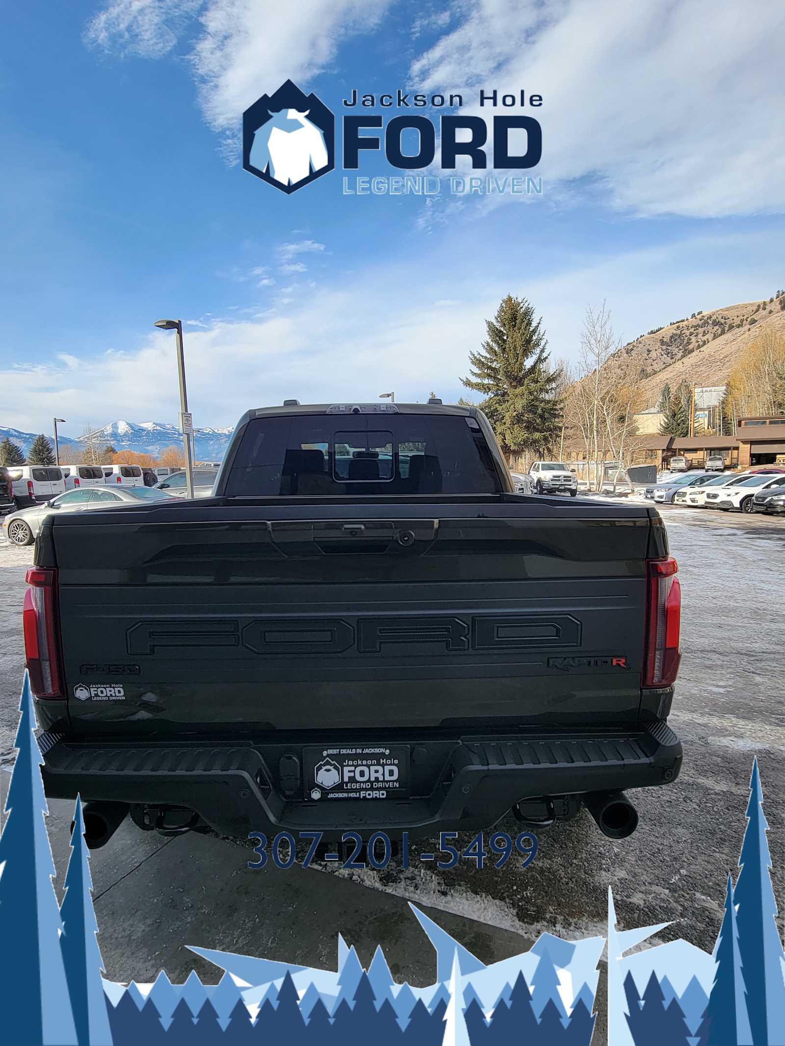 2024 Ford F-150 Raptor 4WD SuperCrew 5.5 Box 16