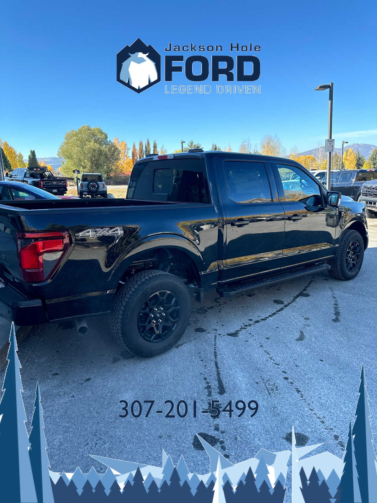 2024 Ford F-150 XLT 4WD SuperCrew 5.5 Box 8