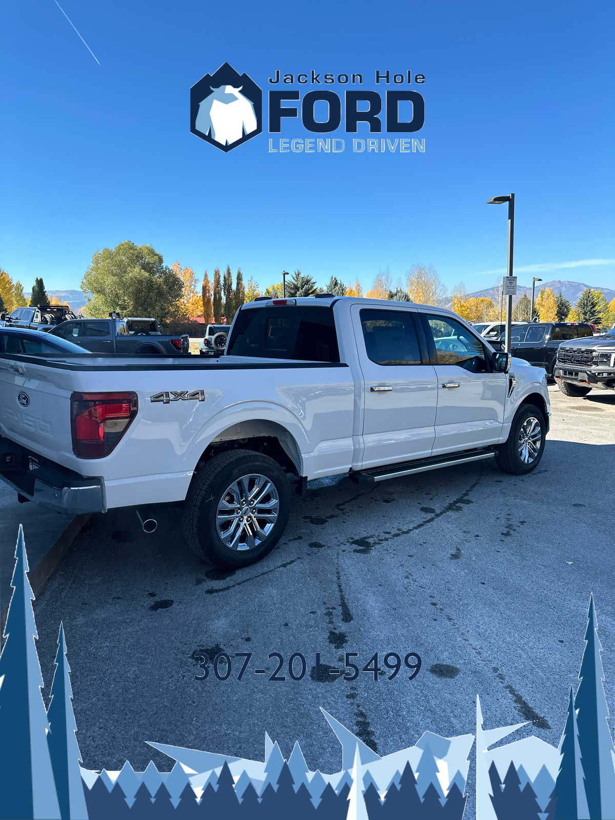 2024 Ford F-150 XLT 4WD SuperCrew 6.5 Box 8