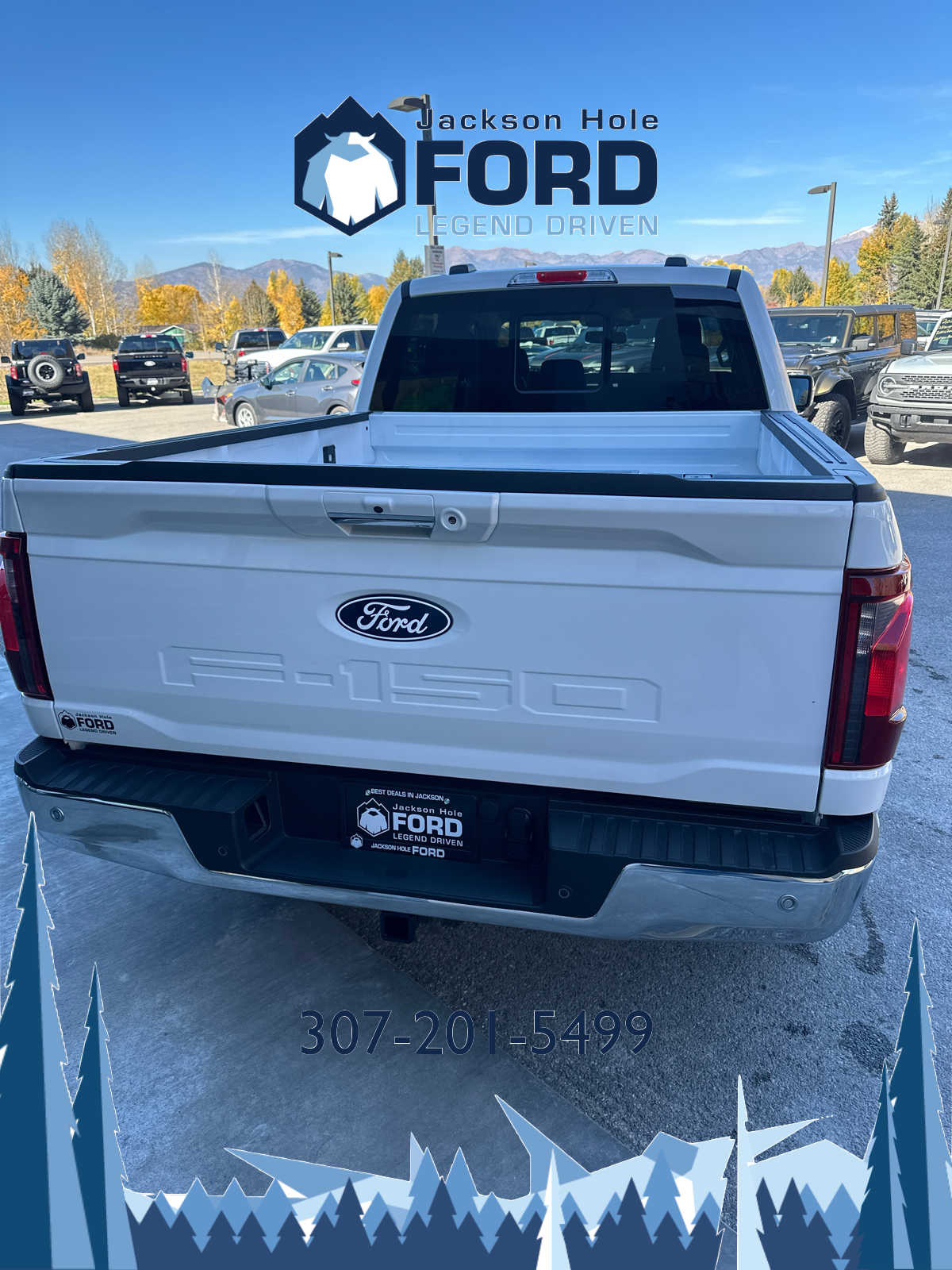 2024 Ford F-150 XLT 4WD SuperCrew 6.5 Box 7