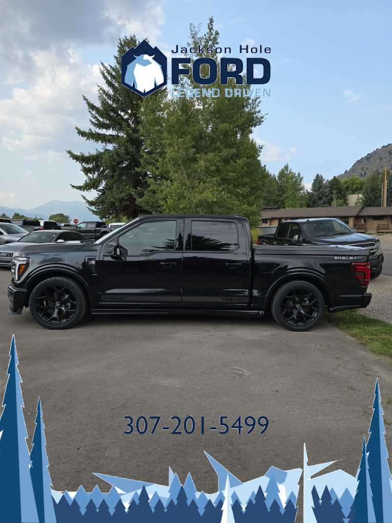 2024 Ford F-150 LARIAT 4WD SuperCrew 5.5 Box 3