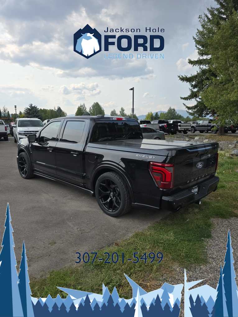 2024 Ford F-150 LARIAT 4WD SuperCrew 5.5 Box 4