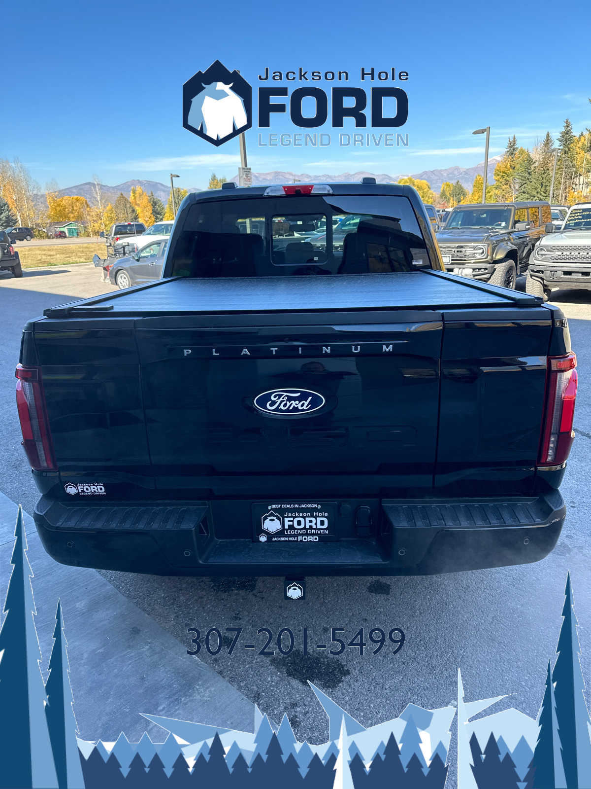 2024 Ford F-150 Platinum 4WD SuperCrew 5.5 Box 7