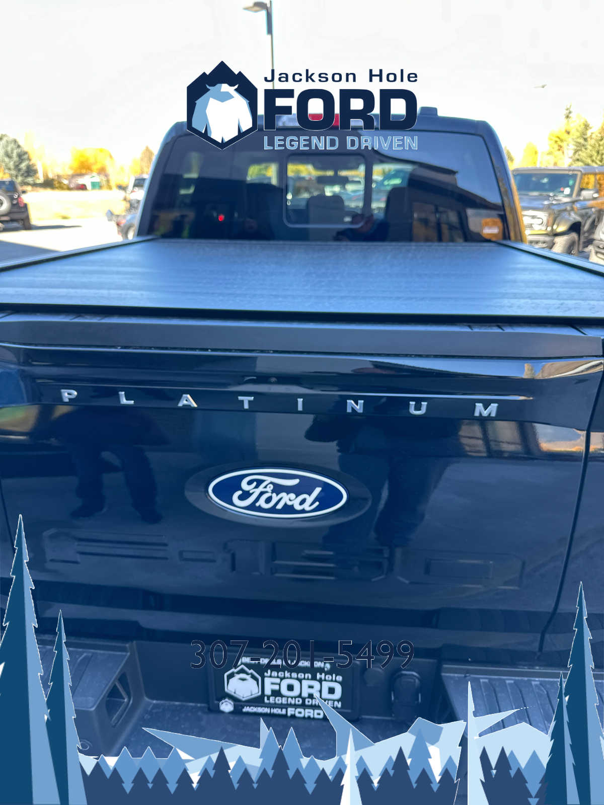 2024 Ford F-150 Platinum 4WD SuperCrew 5.5 Box 9