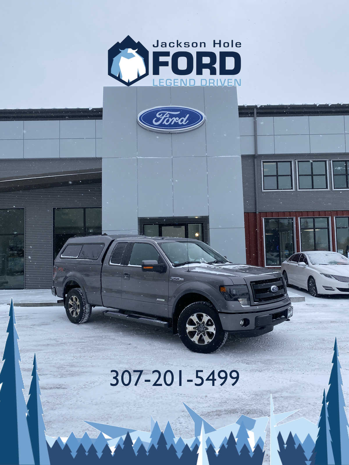 2014 Ford F-150 FX4 4WD SuperCab 145 2