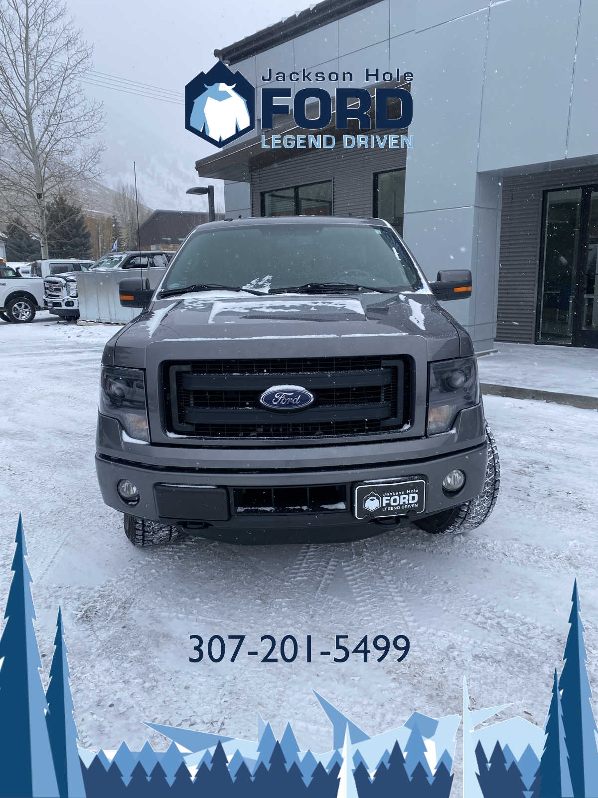 2014 Ford F-150 FX4 4WD SuperCab 145 4