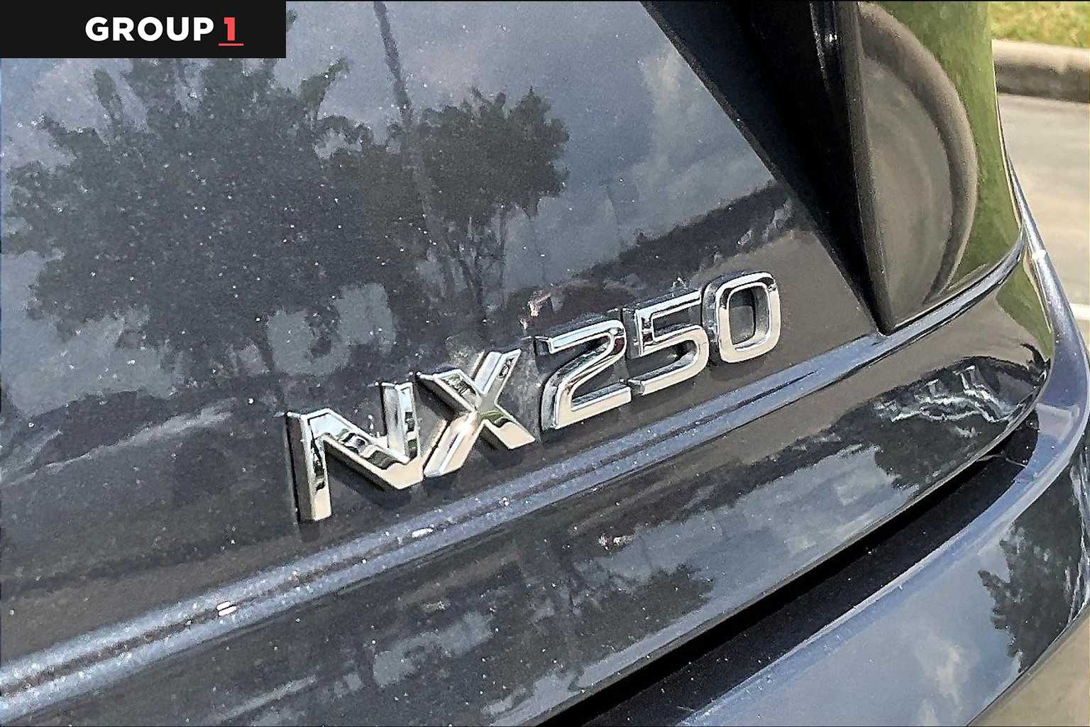 2024 Lexus NX 250  Cloudburst Gray at Lexus Southwest Houston