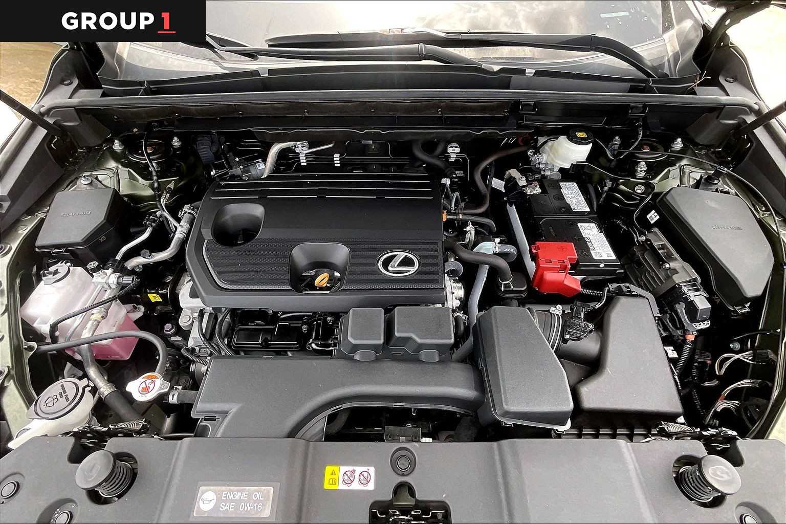 2024 Lexus NX 250  Nori Green Pearl at Lexus Southwest Houston