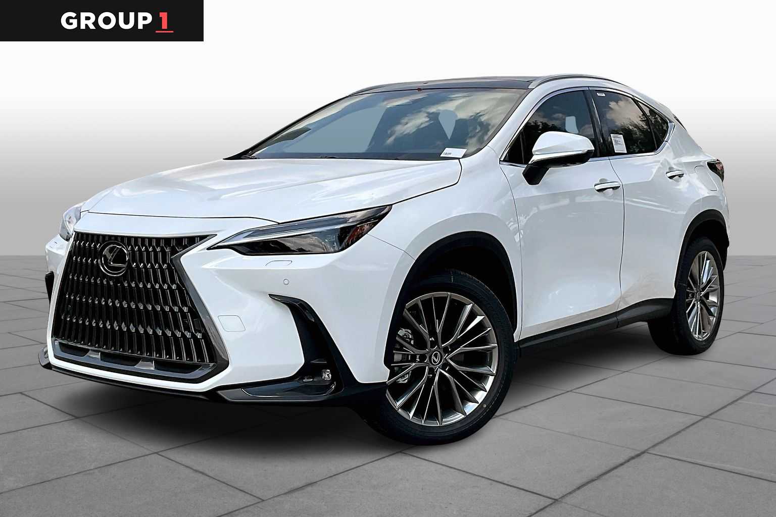 2026 Lexus NX Luxury  - 0