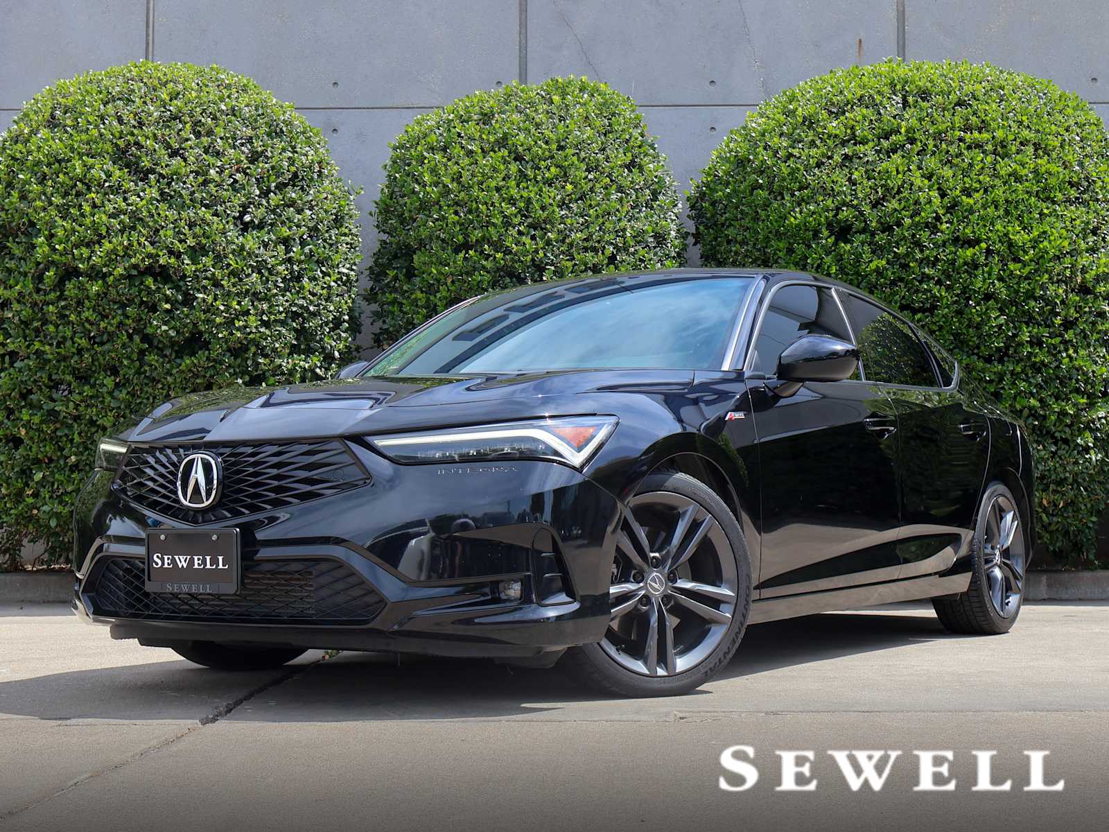 car-gallery-1
