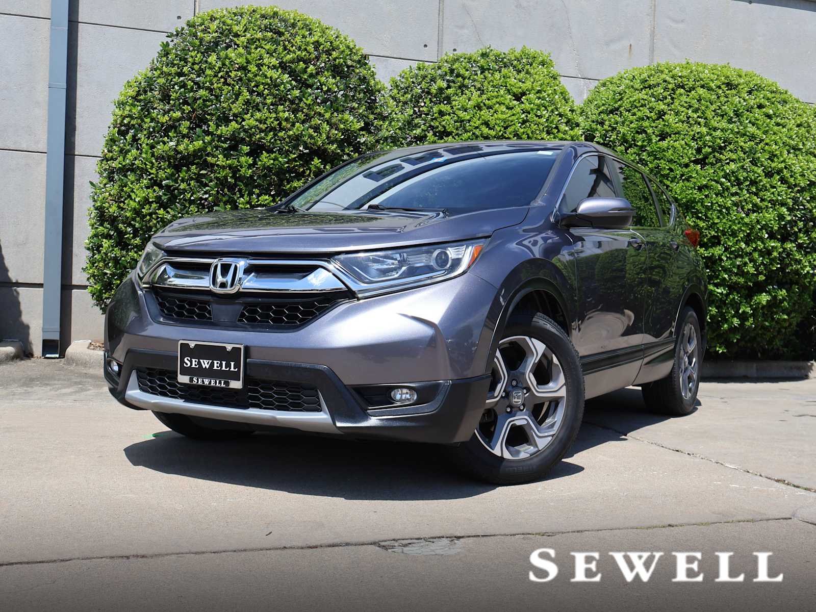 car-gallery-1