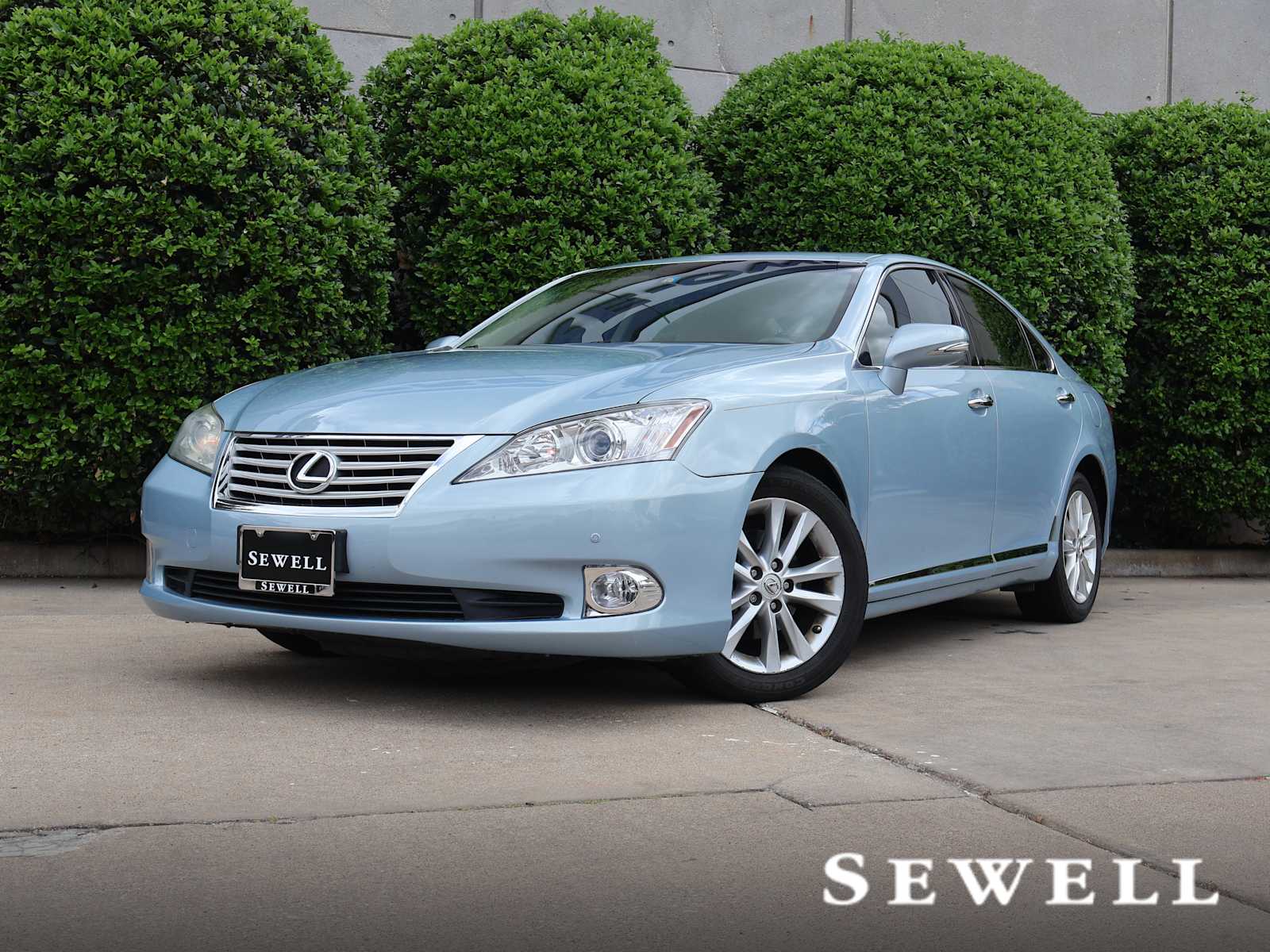 car-gallery-1