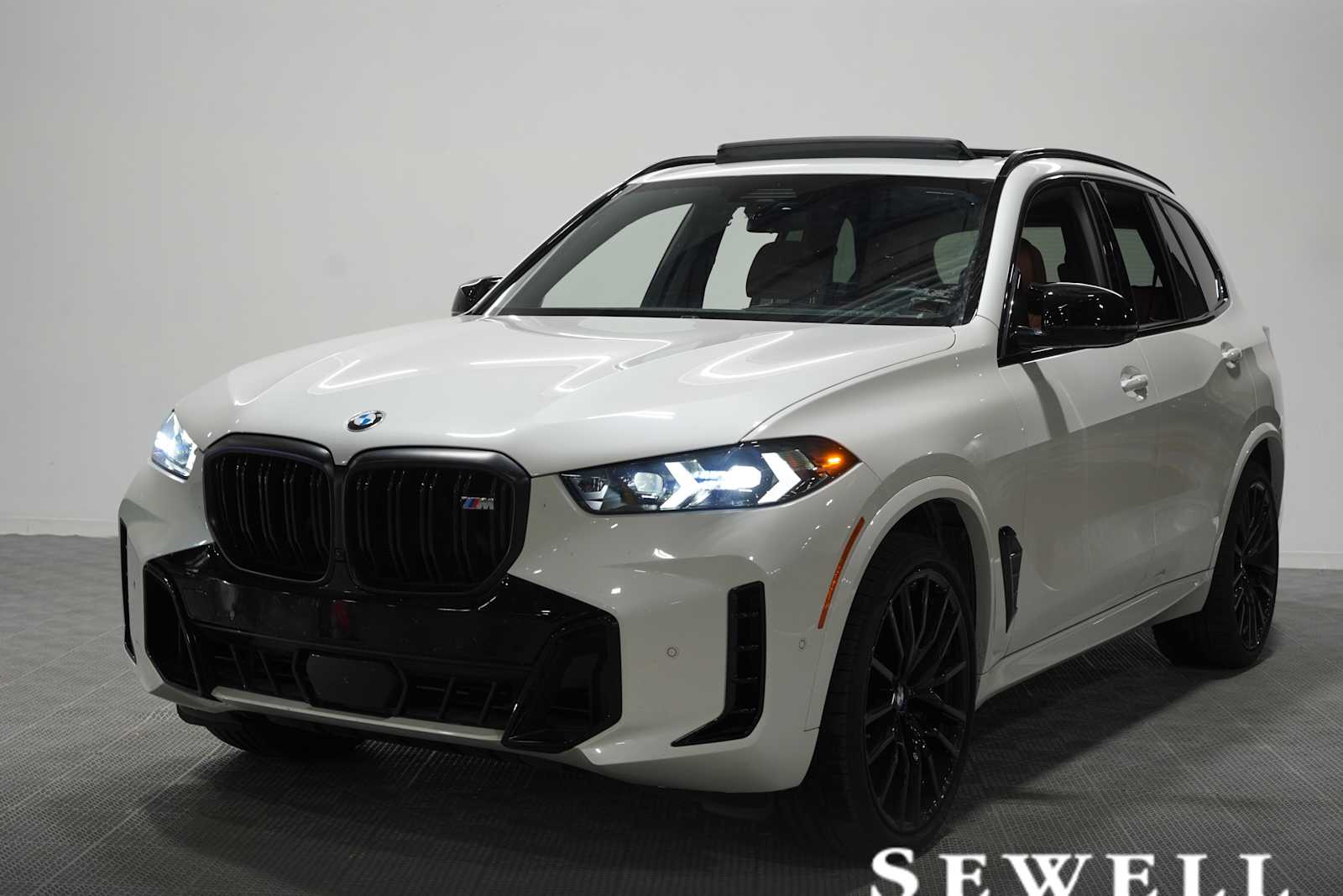 2025 BMW X5 M60i's photo