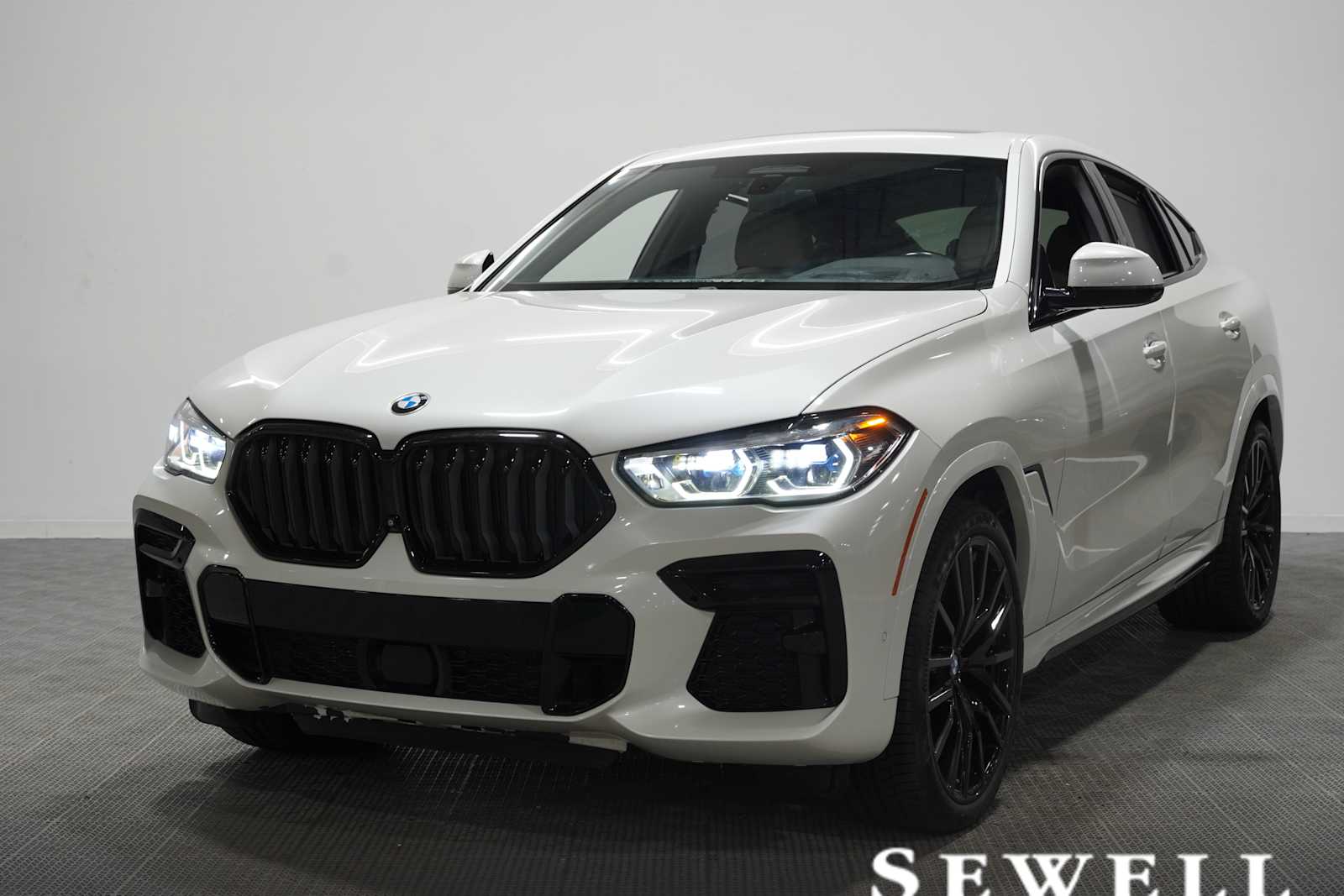 2023 BMW X6