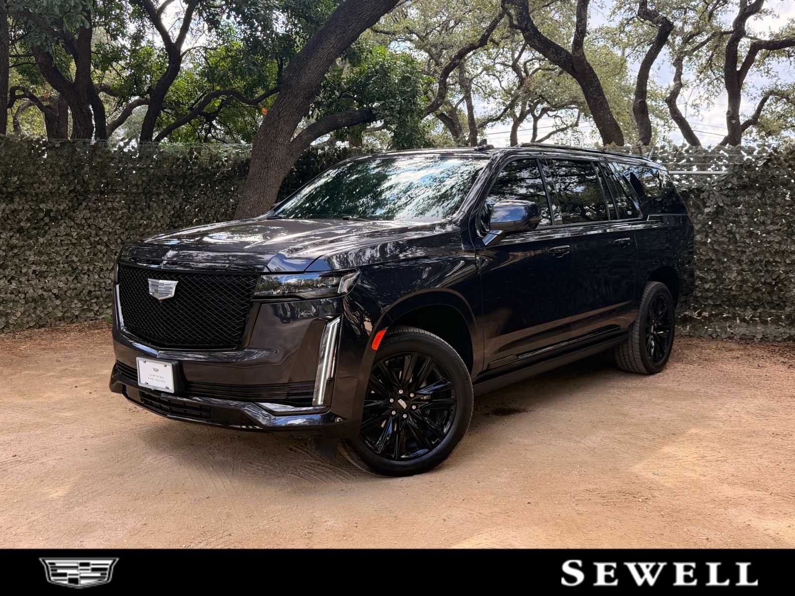 car-gallery-1