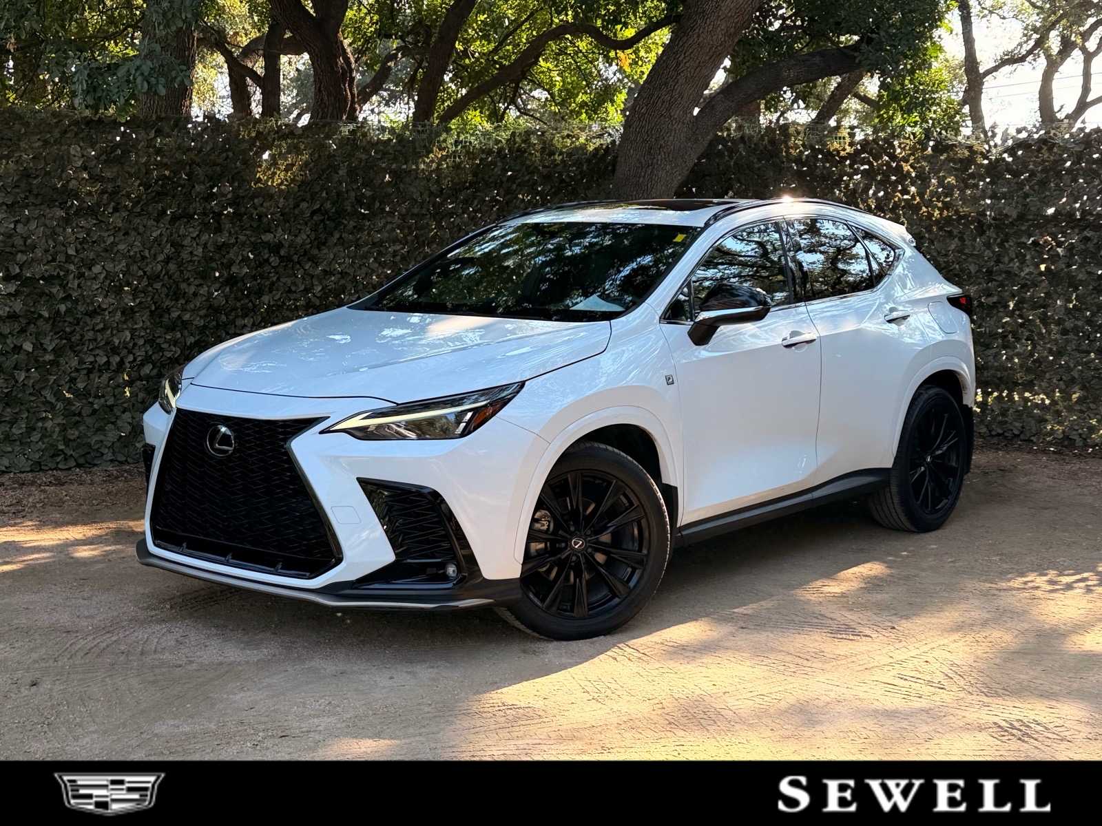 2024 Lexus NX 350 F SPORT Handling