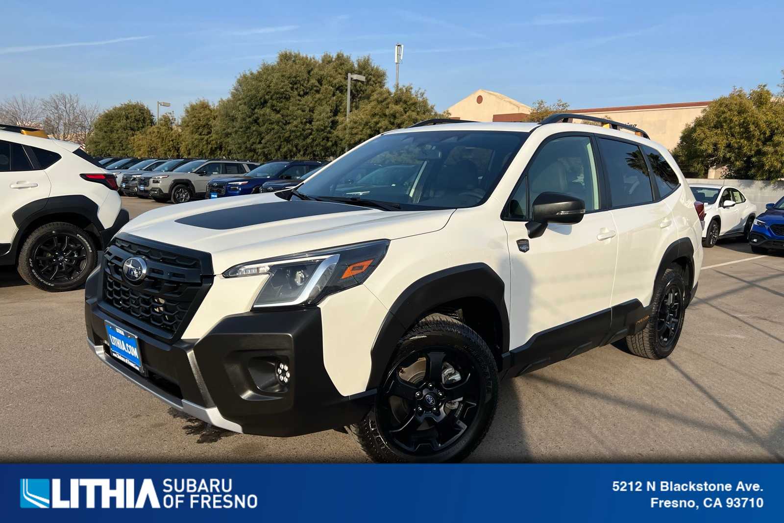 2024 Subaru Forester Wilderness