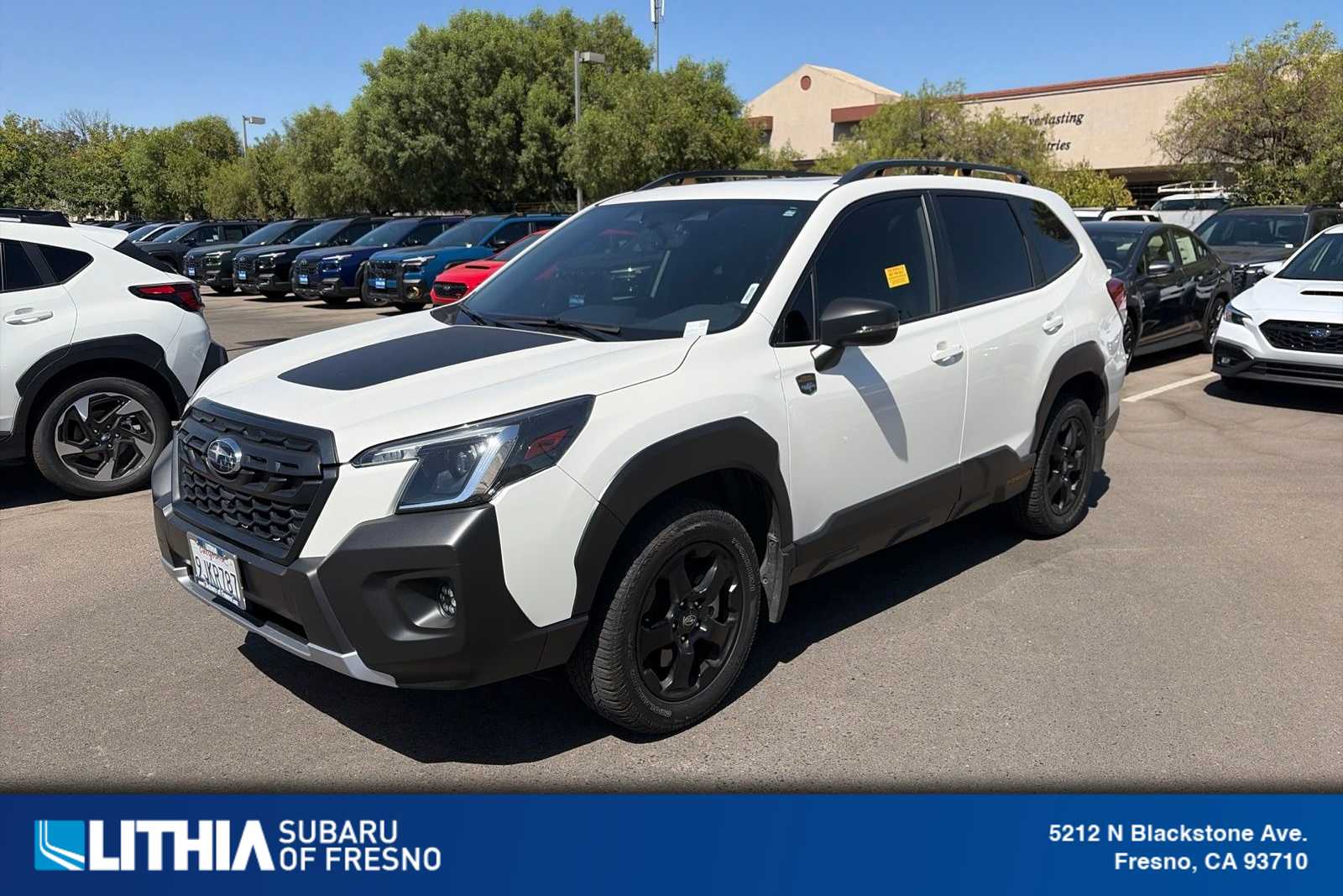 2023 Subaru Forester Wilderness