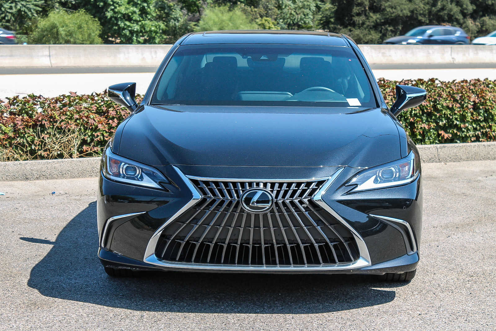 2022 Lexus ES  2