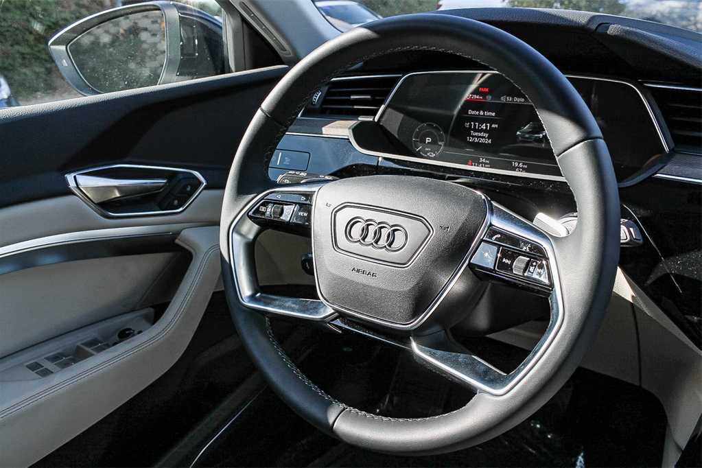 2024 Audi Q8 e-tron Premium Plus 15