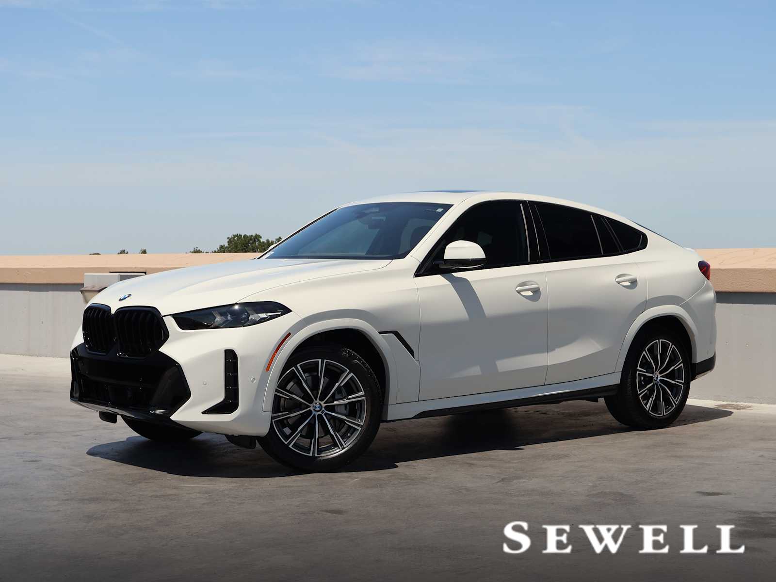 2024 BMW X6