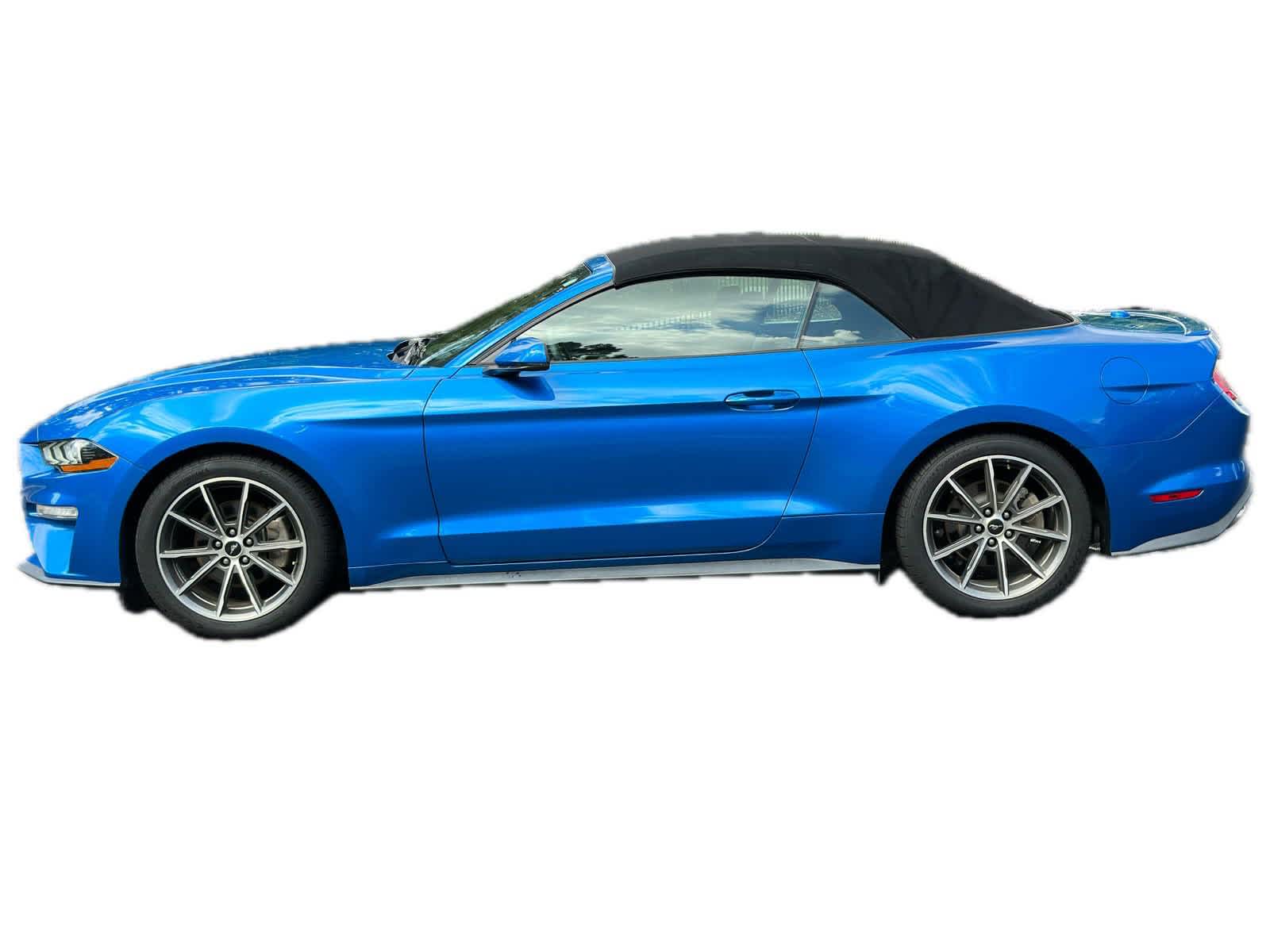 2019 Ford Mustang EcoBoost Premium 5