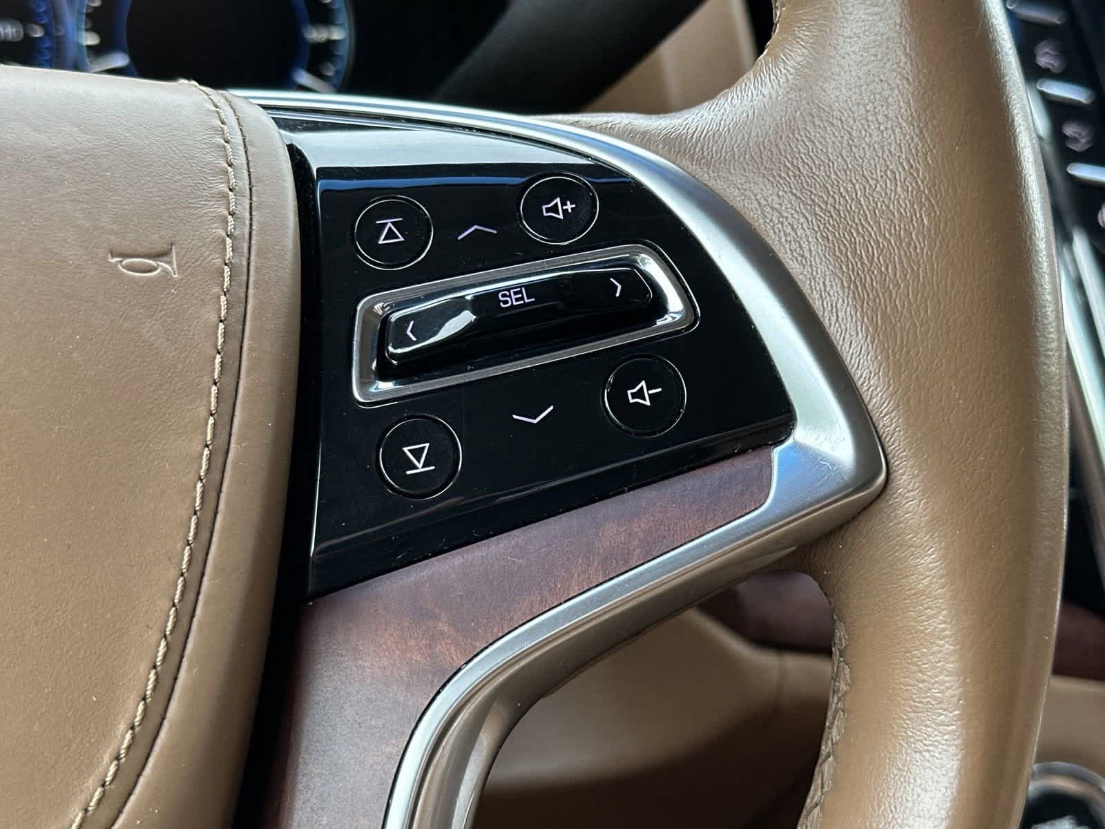 2015 Cadillac Escalade ESV Platinum 17