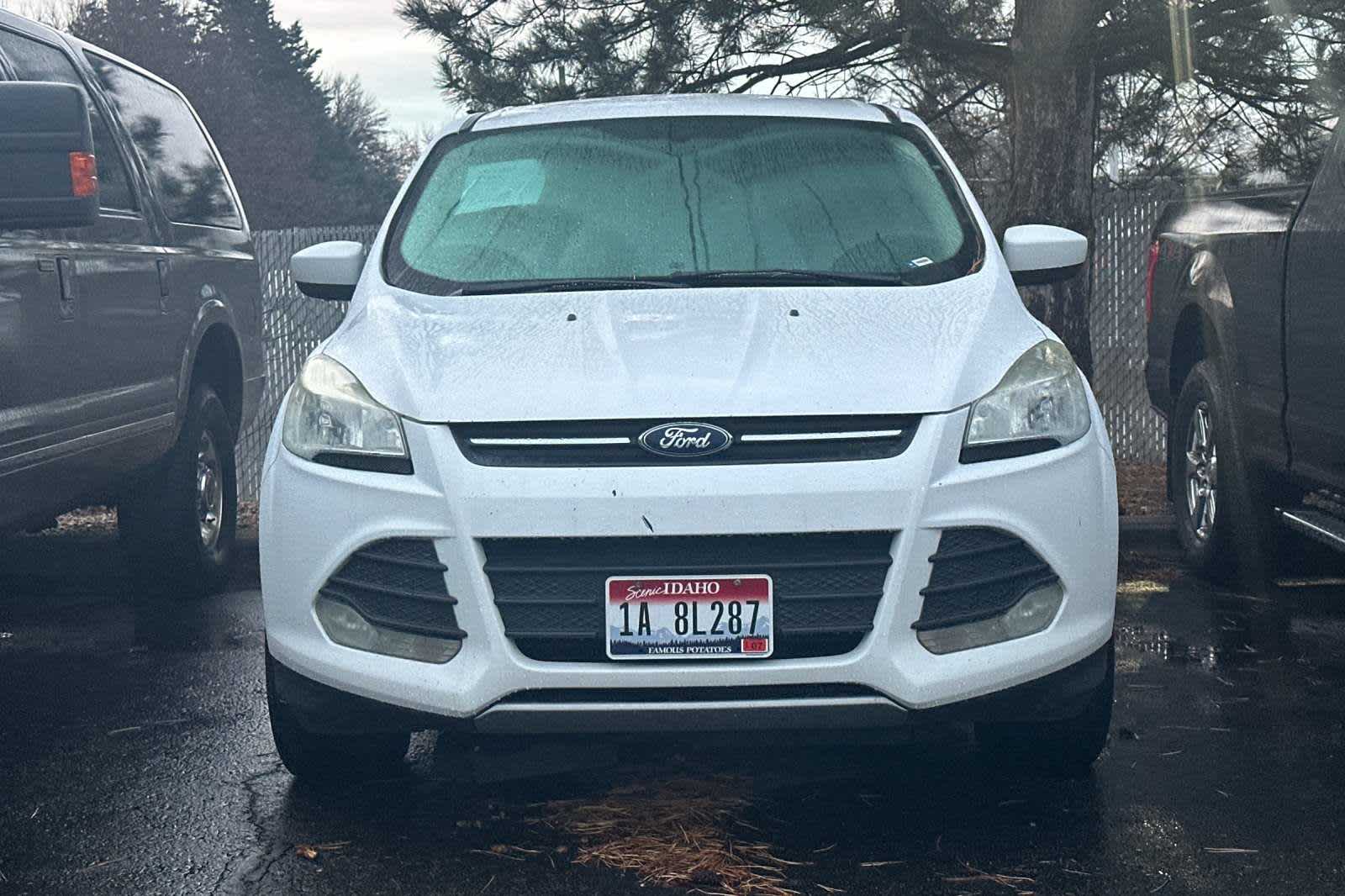 2014 Ford Escape SE 6