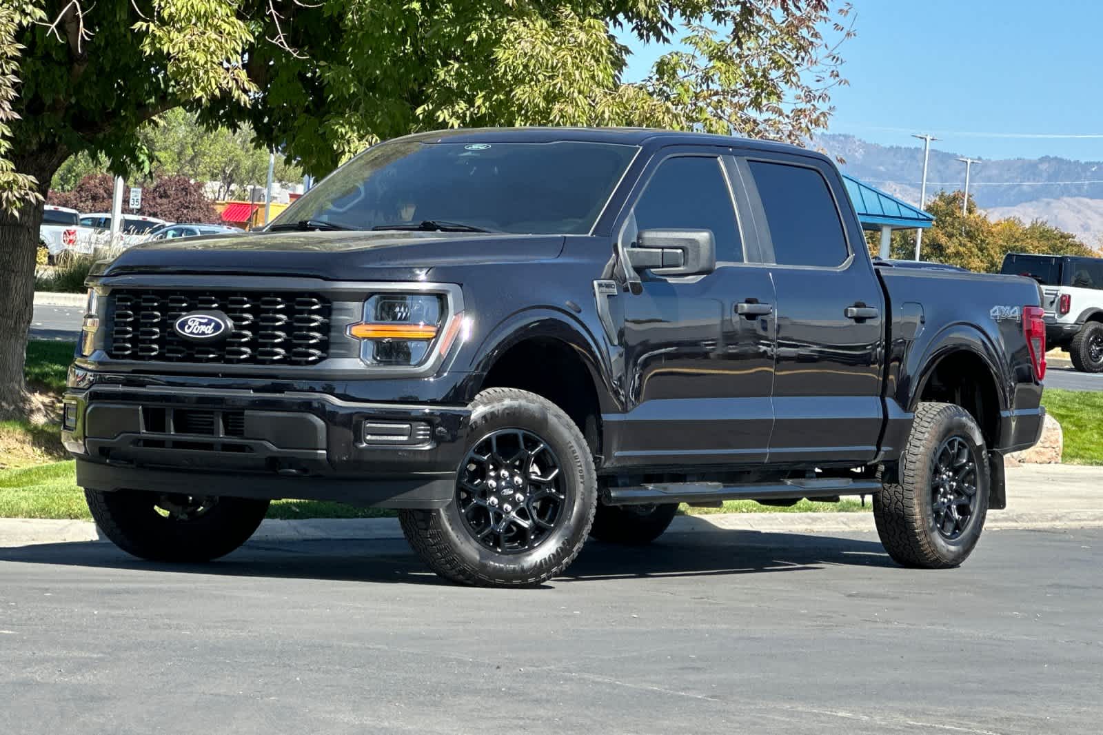 Agate Black Metallic 2026 Ford F-150 Pickup Truck Four-Wheel Drive Automatic