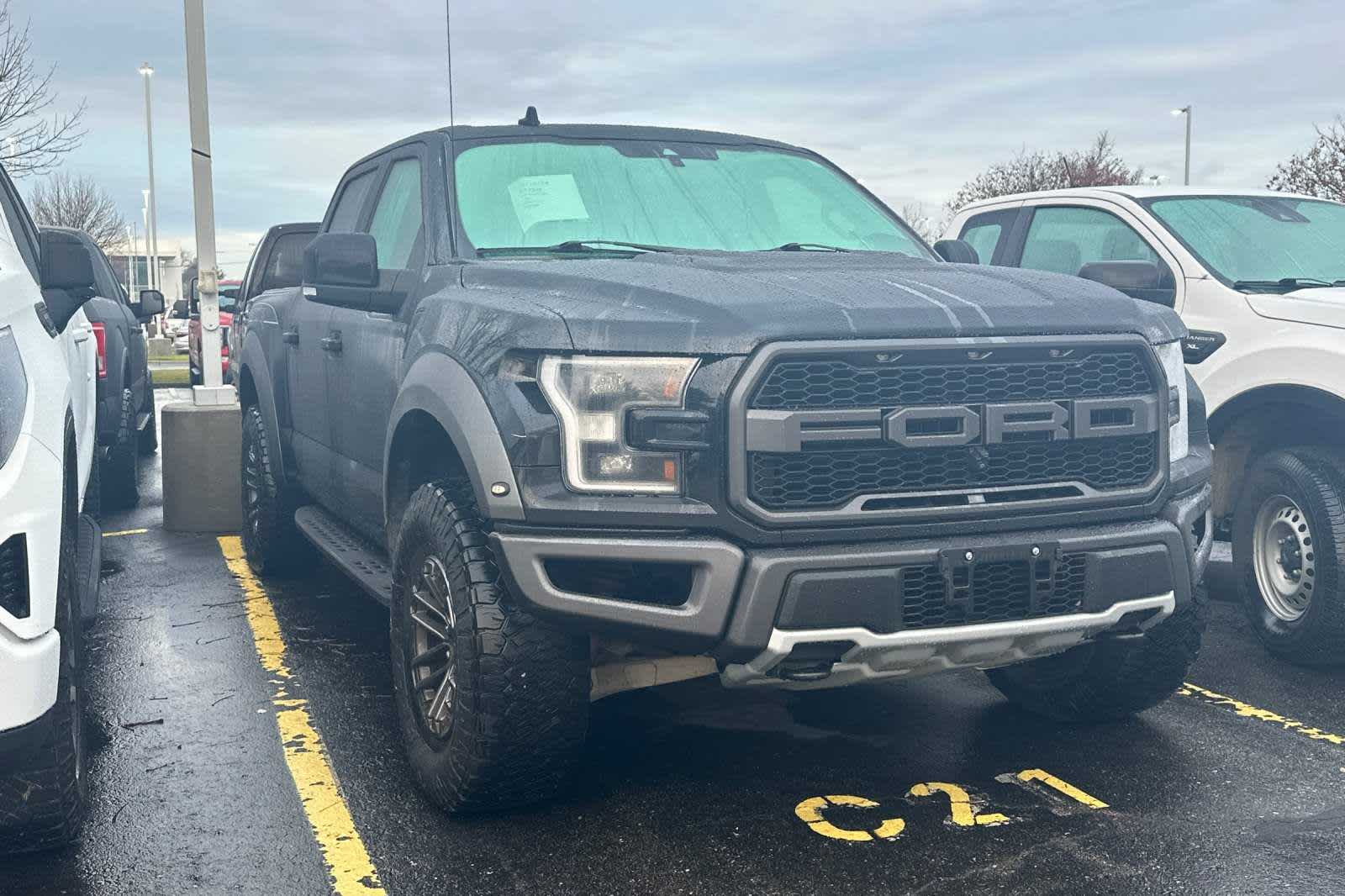 2020 Ford F-150 Raptor 4WD SuperCrew 5.5 Box 2