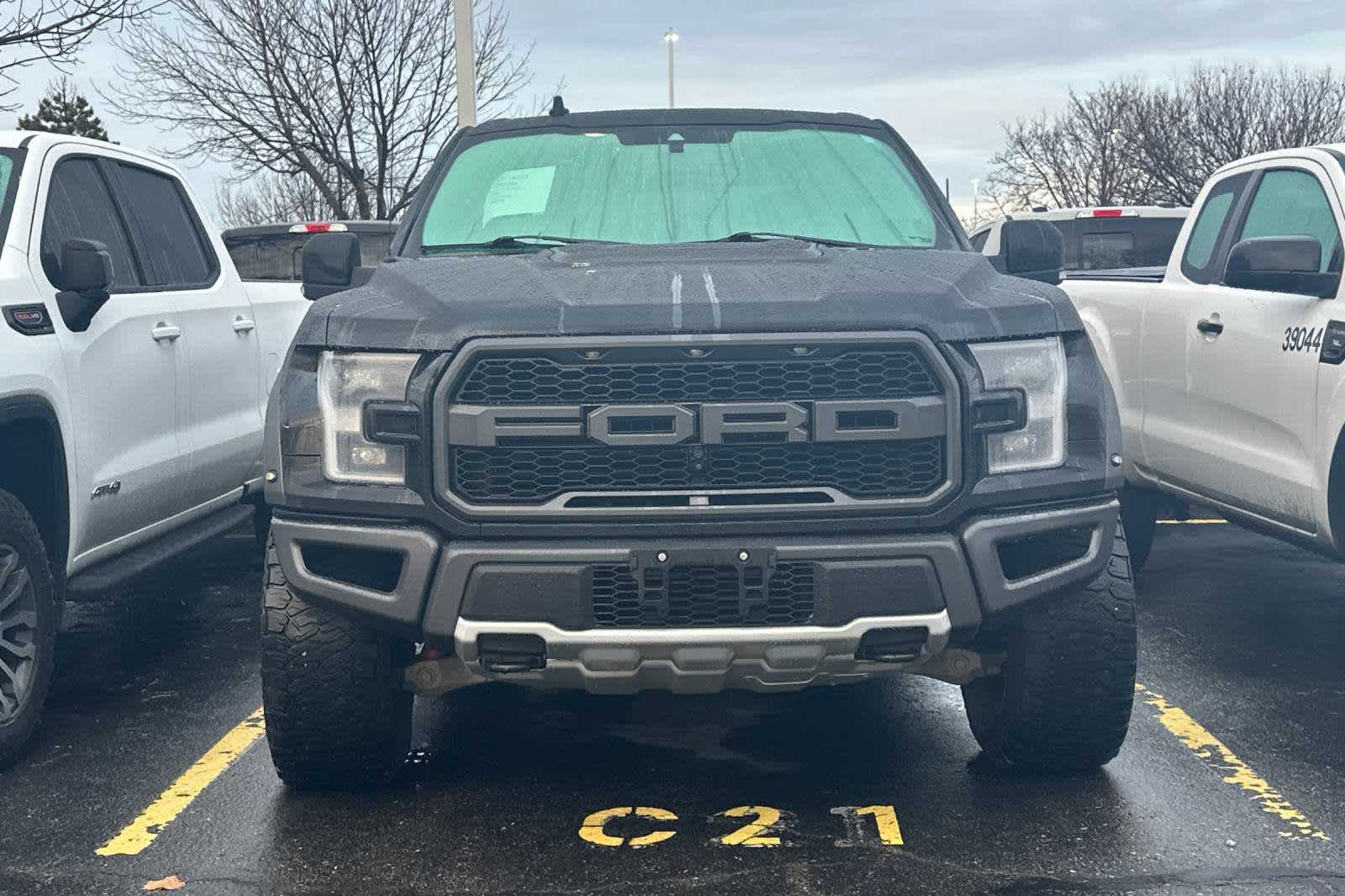 2020 Ford F-150 Raptor 4WD SuperCrew 5.5 Box 3