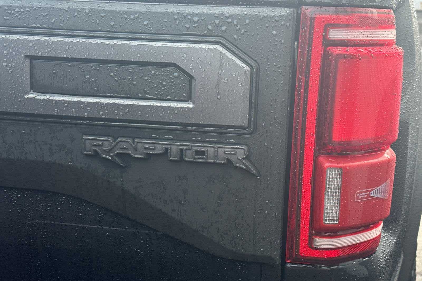 2020 Ford F-150 Raptor 4WD SuperCrew 5.5 Box 5