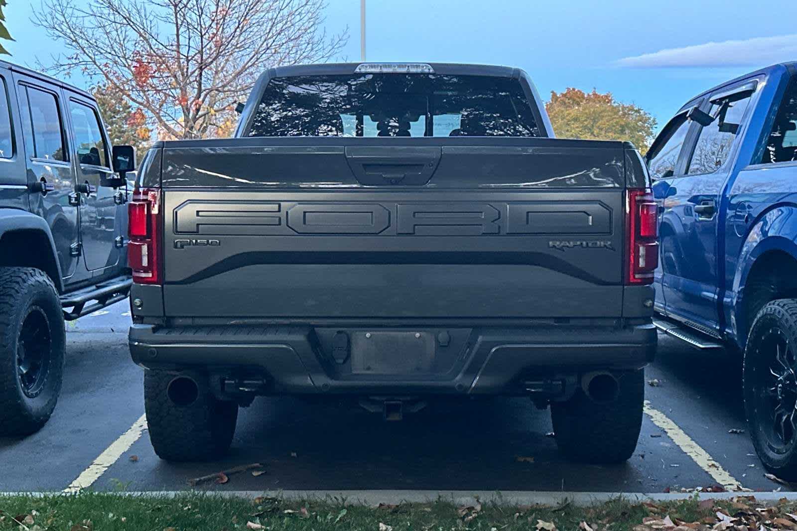 2018 Ford F-150 Raptor 4WD SuperCrew 5.5 Box 4