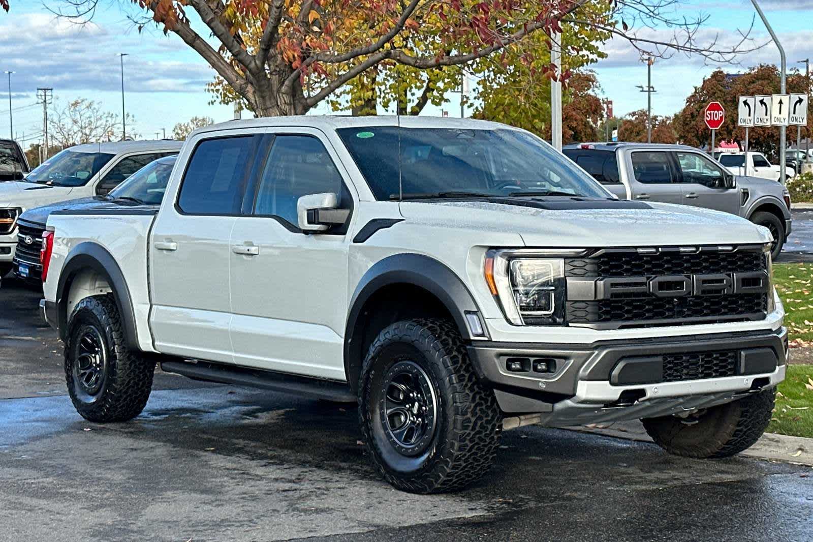 2023 Ford F-150 Raptor 4WD SuperCrew 5.5 Box 9