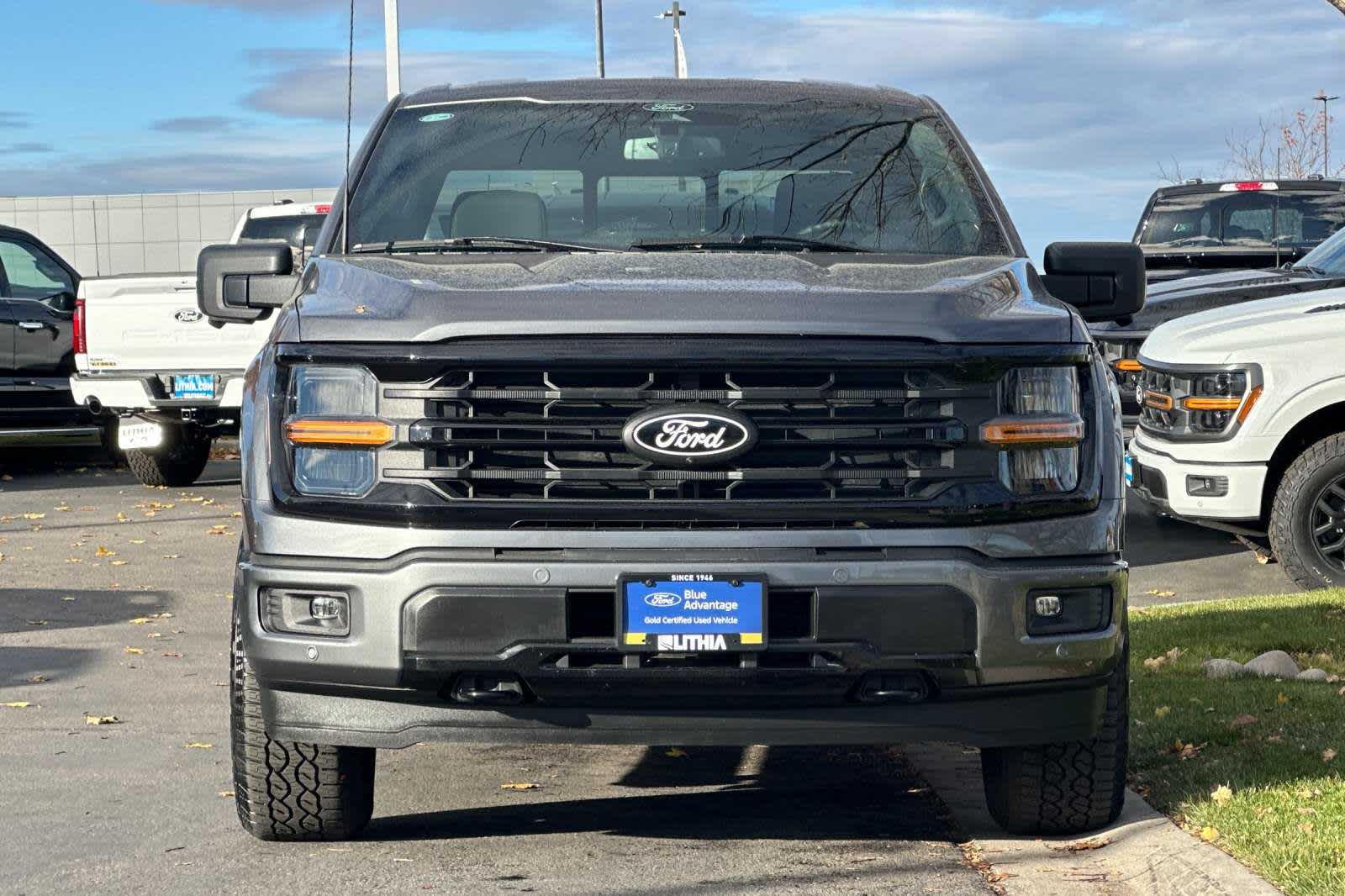 2024 Ford F-150 XLT 4WD SuperCrew 5.5 Box 10