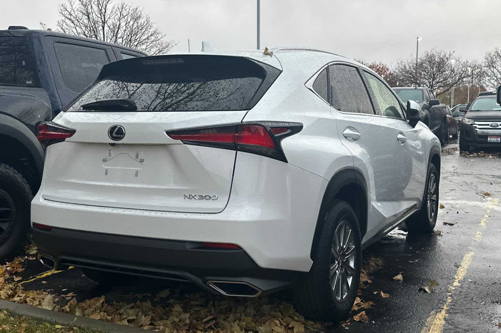 2019 Lexus NX  2