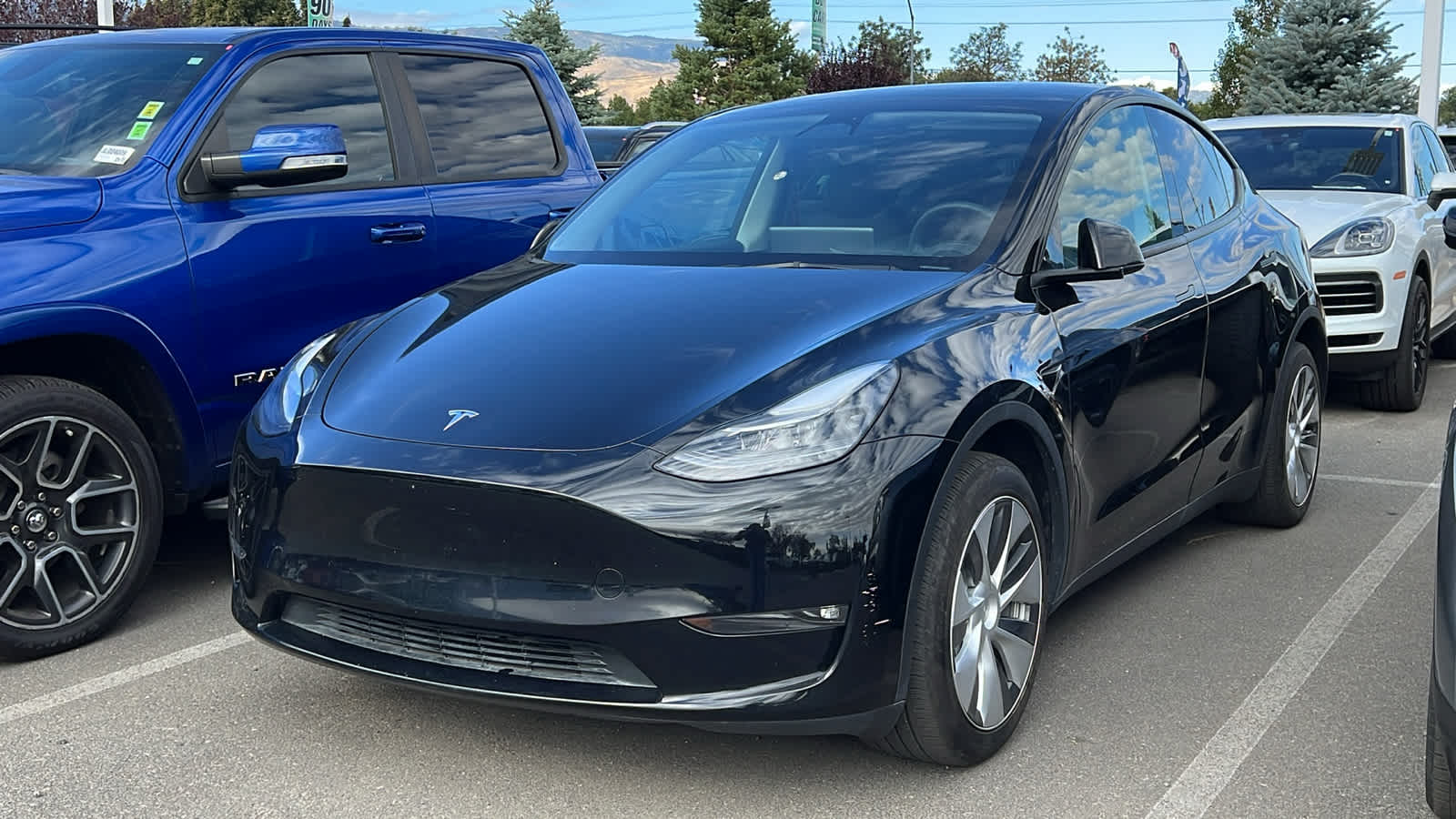 2023 Tesla Model Y  1