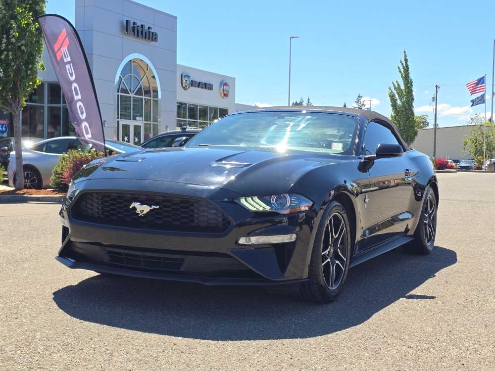 2019 Ford Mustang