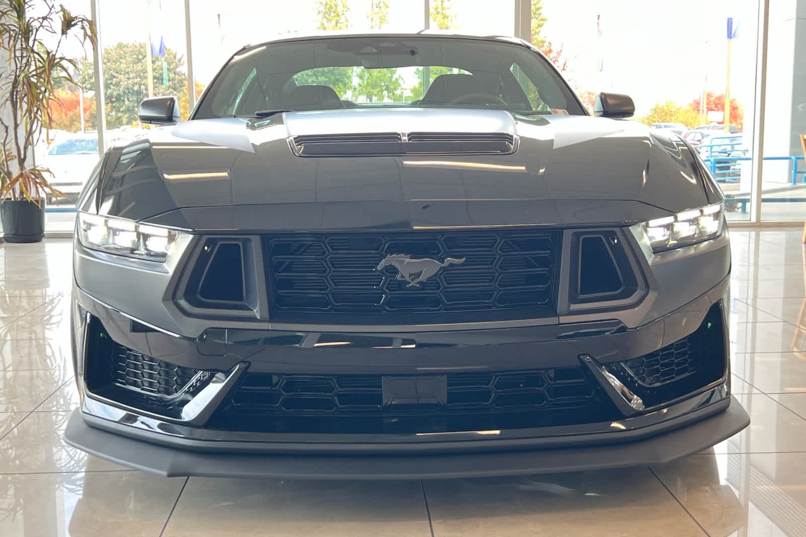 2024 Ford Mustang Dark Horse 11