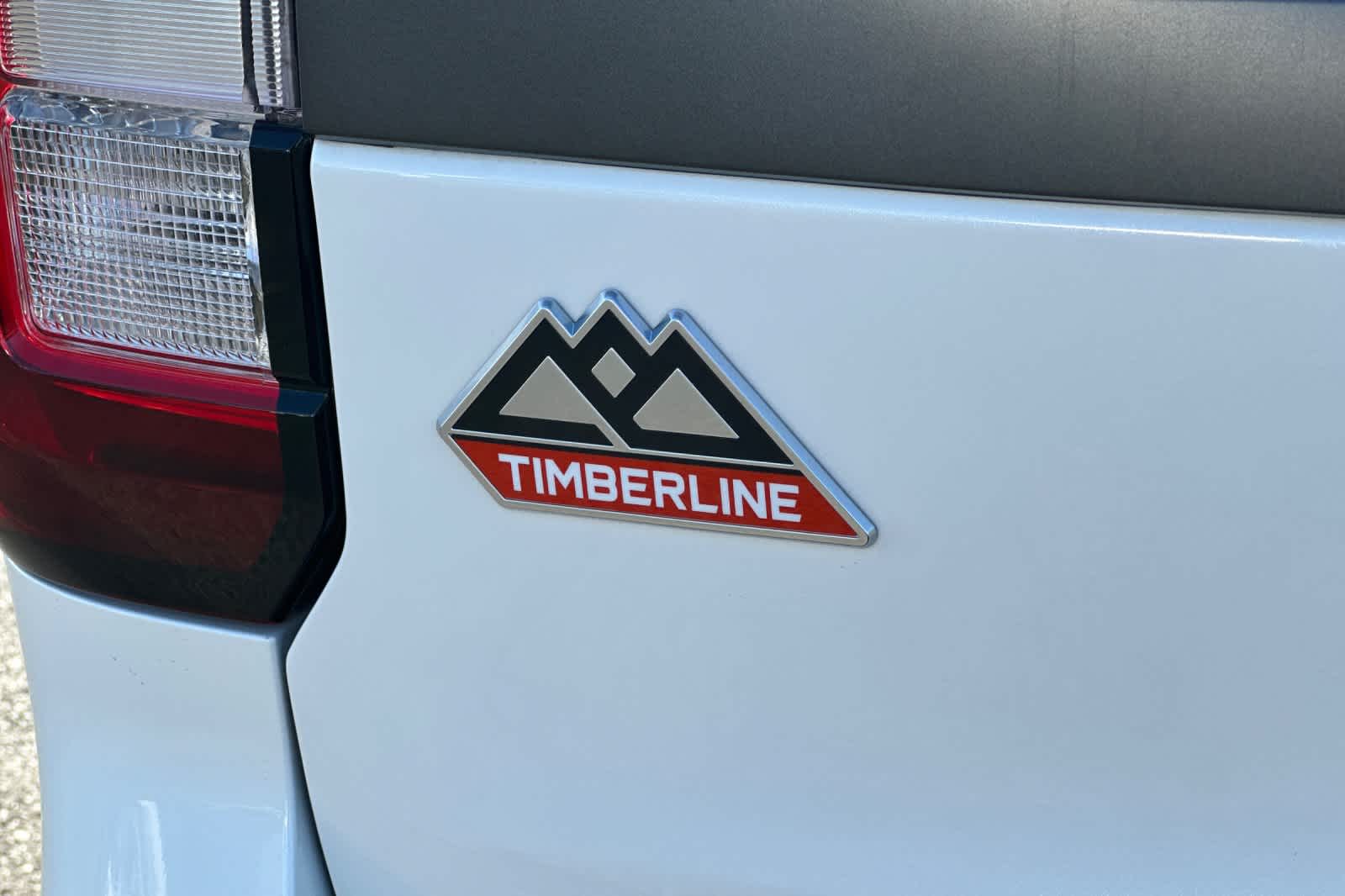 2024 Ford Expedition Timberline 28